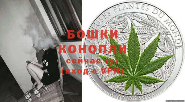 сатива Ладушкин